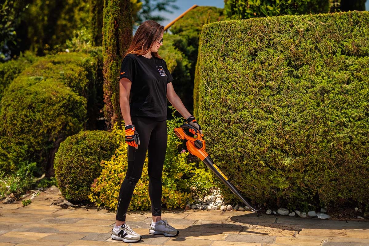 6a3baaf0a615c7ab95f838c8